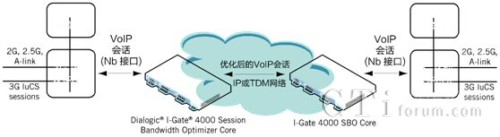 3G ƶ Nb VoIP ỰŻ